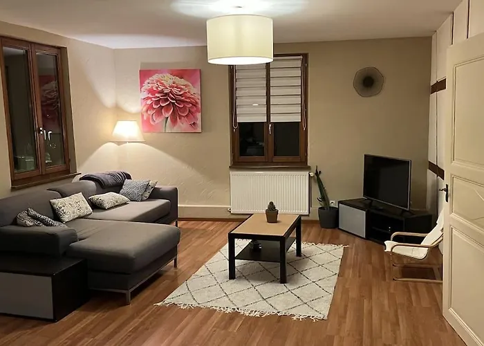 Grand Appartement A Barr