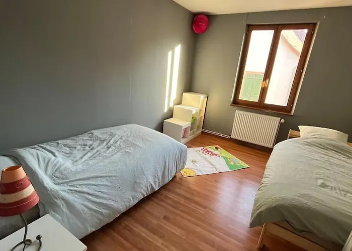 Grand Appartement A Barr