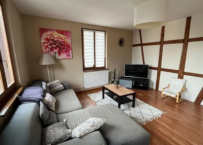 Grand Appartement A Barr